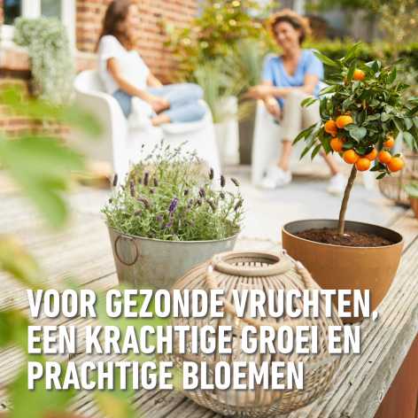 compo image