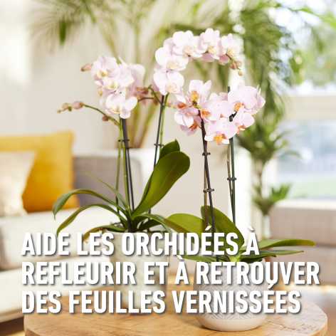 compo image