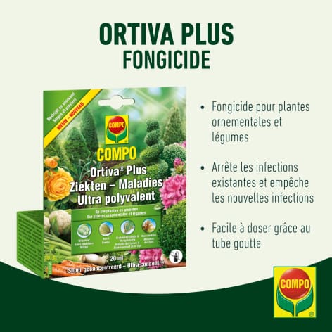 compo image