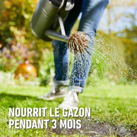 compo image