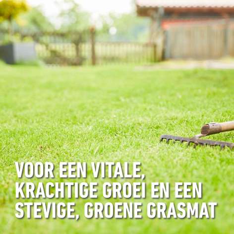 compo image