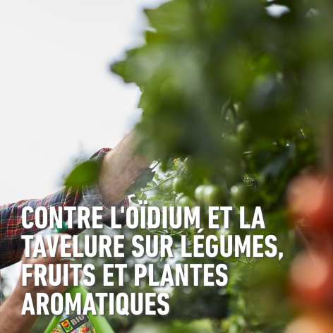 compo image