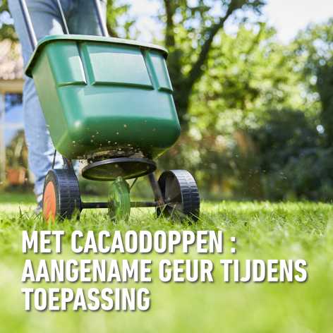 compo image