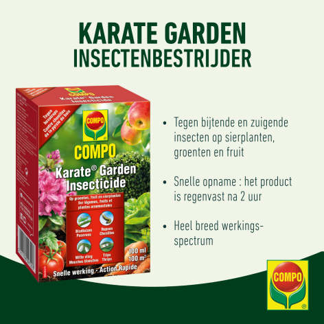 compo image