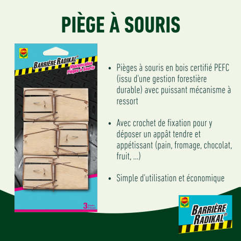 compo image