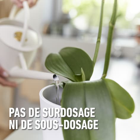 compo image