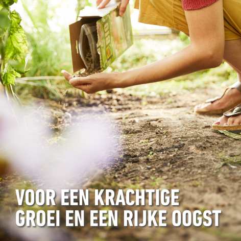 compo image