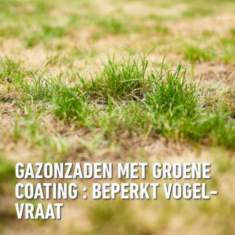compo image