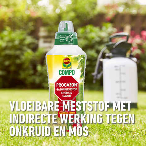 compo image