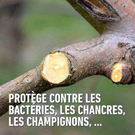 compo image