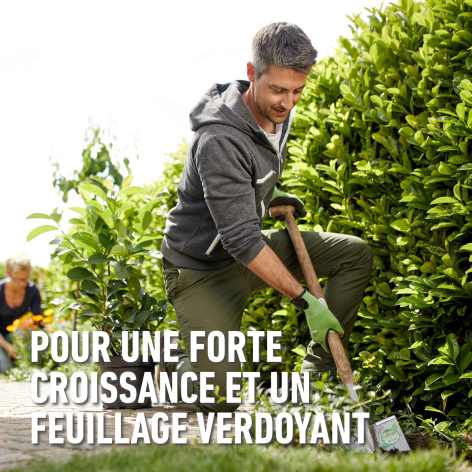 compo image