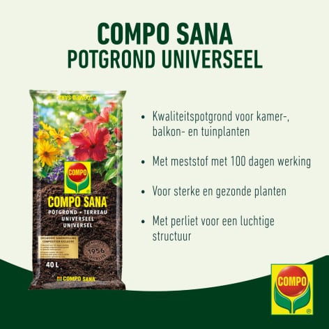 compo image