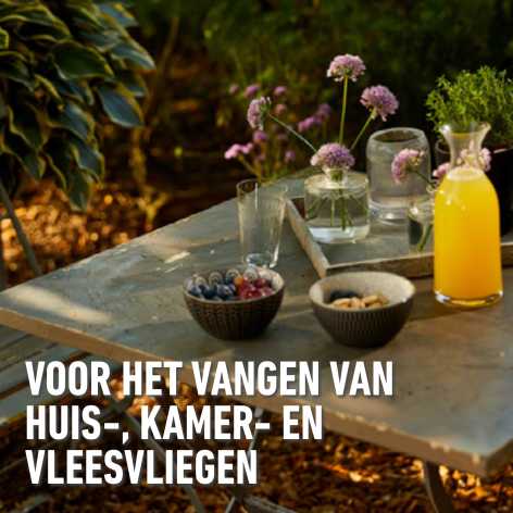compo image