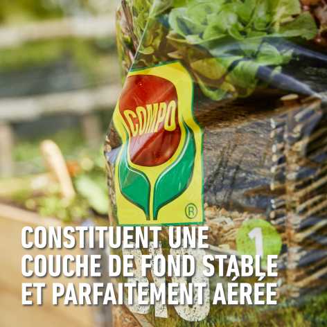 compo image