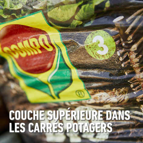 compo image