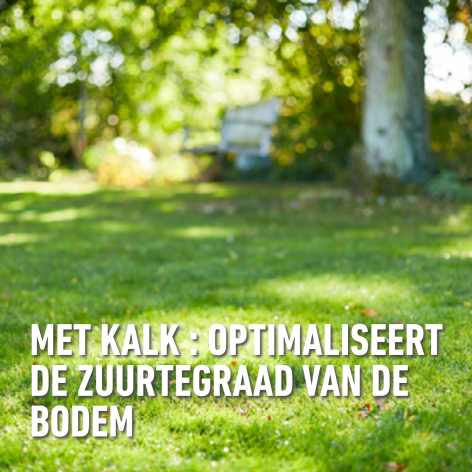 compo image