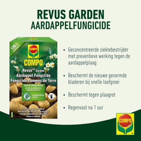 compo image