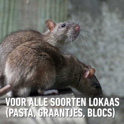 compo image