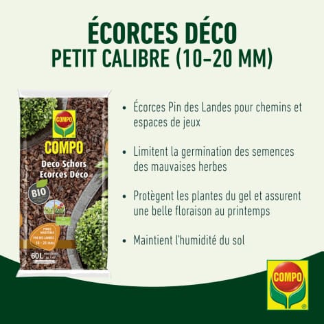 compo image