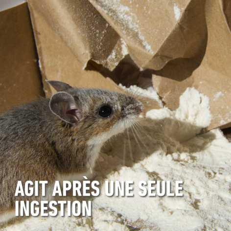 compo image