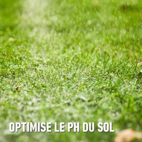 compo image