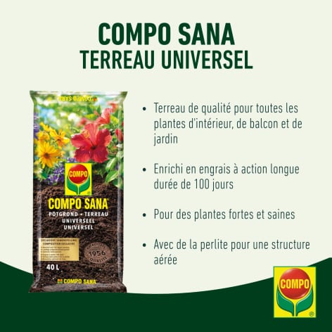 compo image