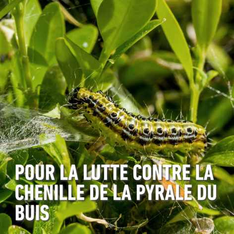 compo image