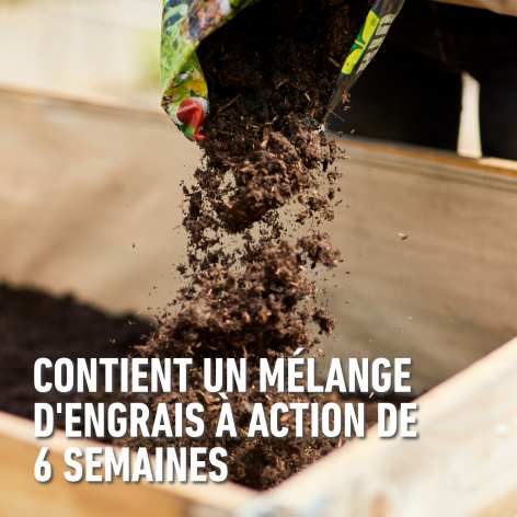 compo image