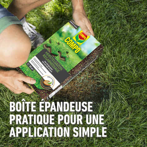 compo image