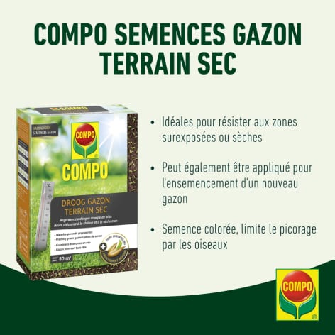 compo image