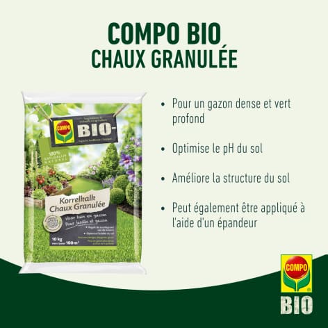 compo image