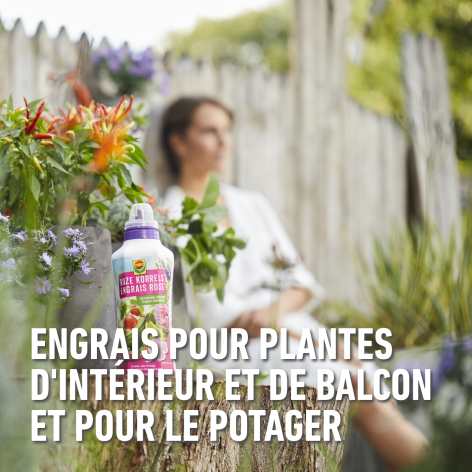 compo image