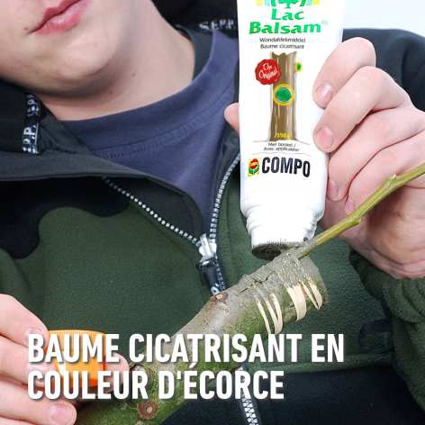 compo image