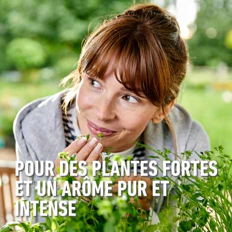 compo image