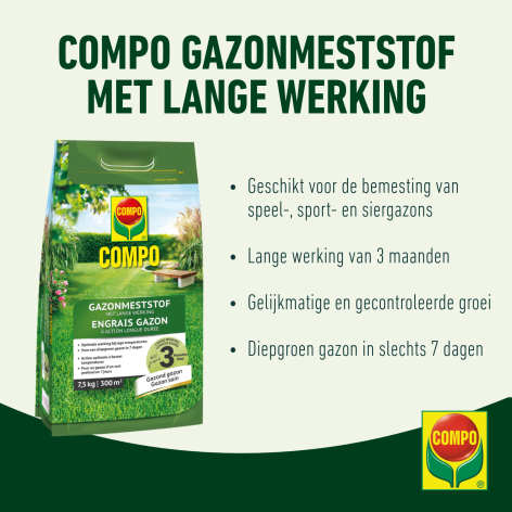 compo image