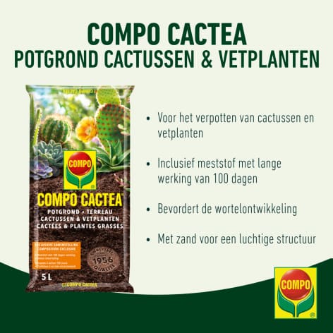 compo image