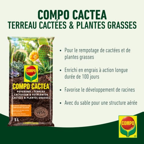 compo image