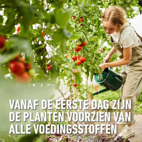 compo image