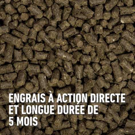 compo image