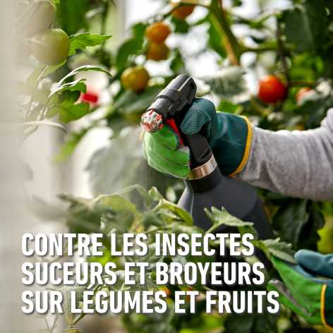 compo image