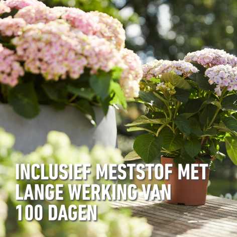 compo image