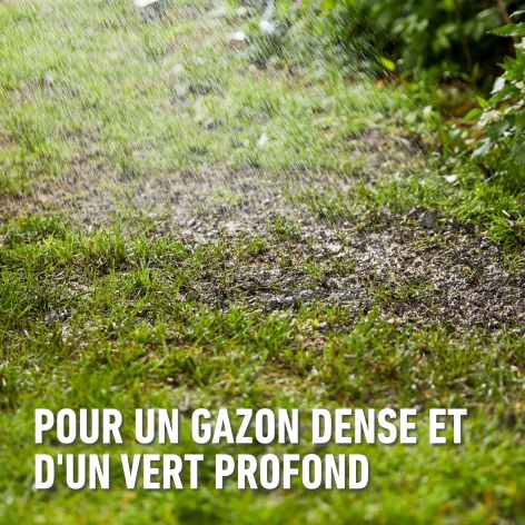compo image