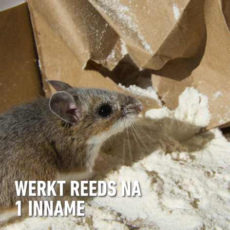 compo image