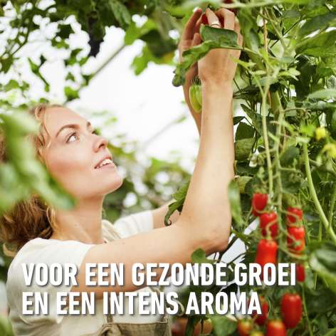 compo image