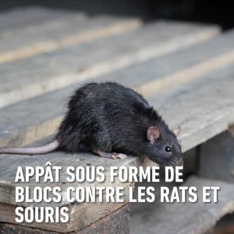 compo image