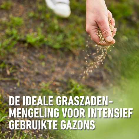 compo image