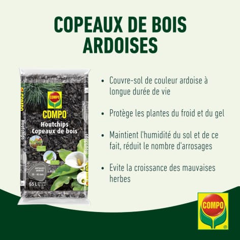 compo image
