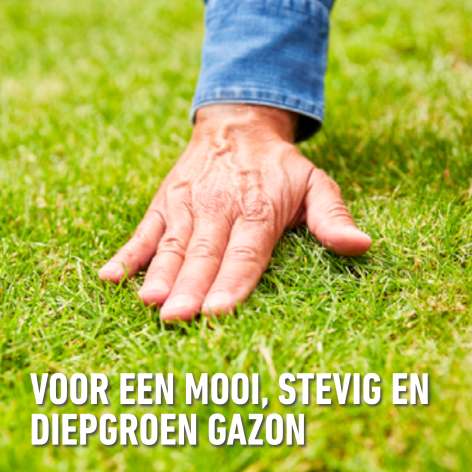 compo image