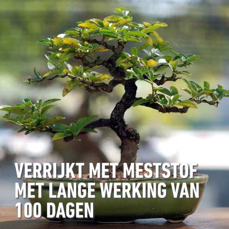compo image