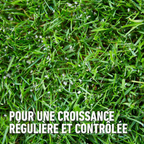 compo image